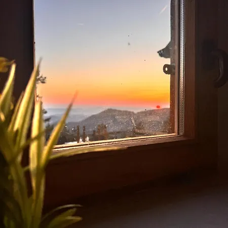 Koliba Dobro Drvo Zlatibor