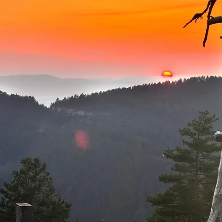 Koliba Dobro Drvo * Zlatibor