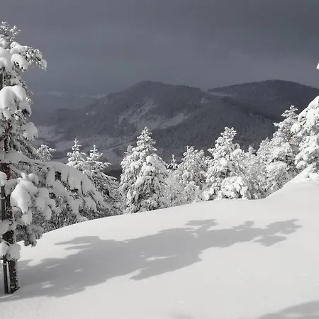 Koliba Dobro Drvo Zlatibor
